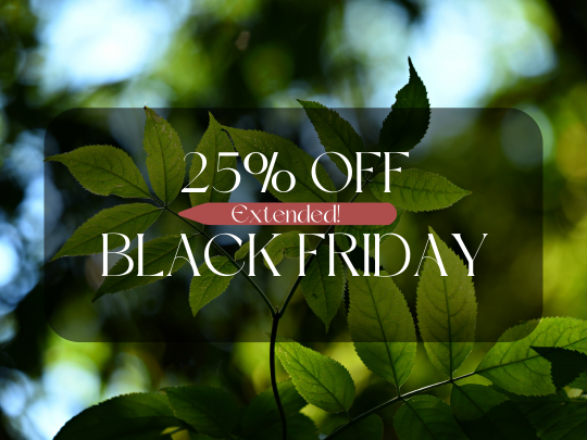 Read more about the article Black Friday Offer: Cherish Your Wellbeing Journey