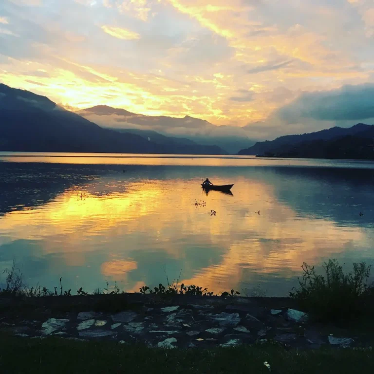 Read more about the article Distance Reiki Healing